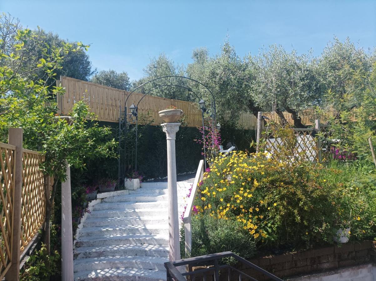 Homart Roof King Gasthof *